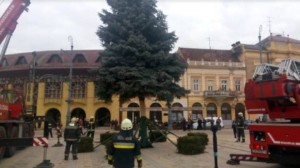 Debreceni karácsonyfa-állítás 2017