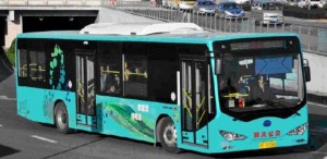 ebusz