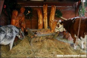 Állatkerti Betlehem