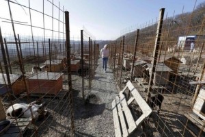 Ebgyűjtő telep Szocsiban