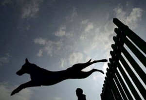 Ugrás az ismeretlenbe