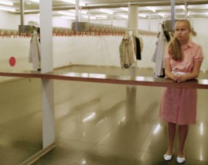 Szegfűk és Tulipánok a Fugában