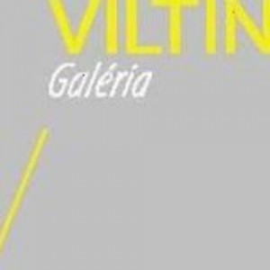 Viltin Galéria