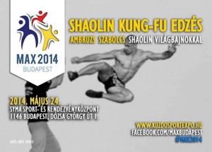 Kung-fu edzés Zsolttal