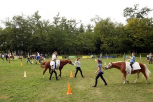 Edzés Sarlóspusztán