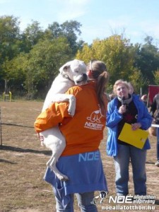 Állatok világnapja 2013