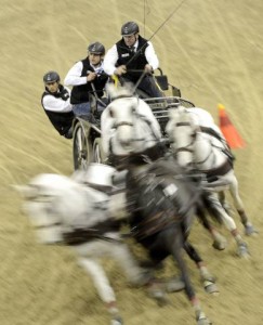 3. Dobrovitz József