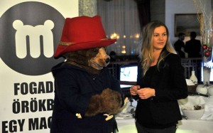 Paddington-maci Andy-nek és Timinek