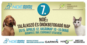 NOÉ-s örökbefogadás