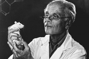 Selye János egérrel