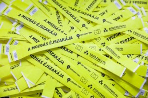 Mozgás Éjszakája 2015