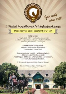 Fiatal fogatlovak Mezőhegyesen