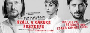 Kakukkfészek Erzsébetvárosban