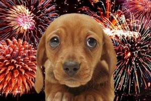 Félek a petárdáktól