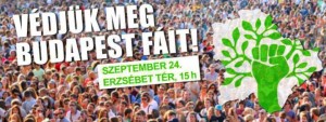 Védjük meg fáinkot
