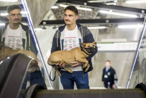 Kutyával a mozgólépcsőn