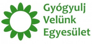 GYVE logo