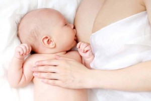 Anyatejes táplálás