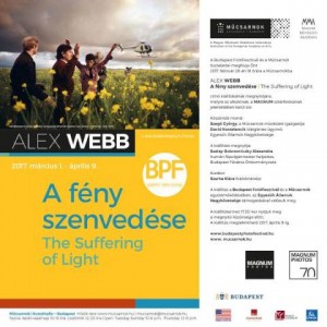 Webb a Műcsarnokban