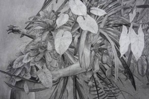 Gawie Joubert - Limbo