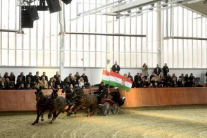 Lázár Zoltán négyesfogathajtó bemutatója