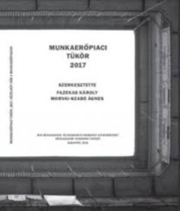 Munkaerő-piaci Tükör 2017.