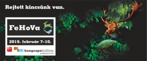 FeHoVa 2019